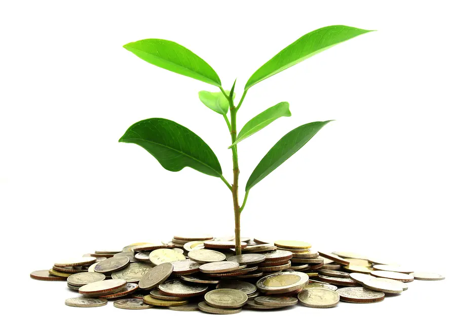 Инвестиции SKF в сохранение экологии | Свежие новости в Астрахани Инвестиции SKF в сохранение экологии | Свежие новости в Астрахани